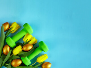 green heavy dumbbells, golden easter eggs and yellow tulip flowers bouquet on blue background. Easter fitness and training composition with copy space. Top view from above, flat lay