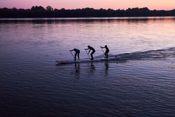 People rowing with Stand up paddle SUP Dragon boards. Three people on SUP board paddle at evening Danube river