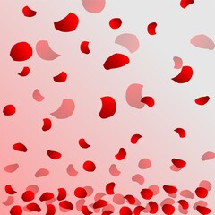 scattered red rose petals