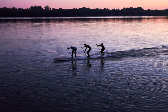 People Rowing With Stand Up Paddle SUP Dragon Boards. Three People On SUP Board Paddle At Evening Danube River