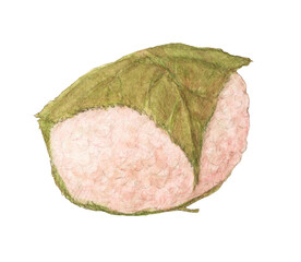 桜餅　和菓子　手描きイラスト