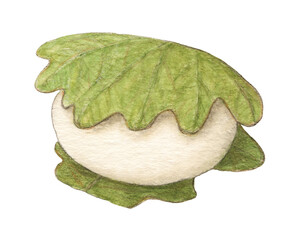 柏餅　和菓子　手描きイラスト