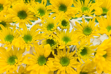Bouquet of beautiful yellow flowers in a vase. Joyful, sunny, happy background of many yellow daisies close-up. Selective focus.