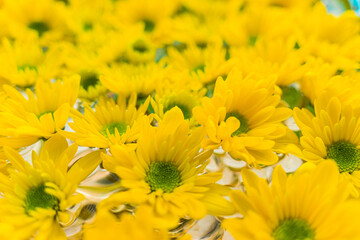 Bouquet of beautiful yellow flowers in a vase. Joyful, sunny, happy background of many yellow daisies close-up. Selective focus.