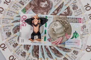 Małpa wyleguje się na banknocie 500 zł