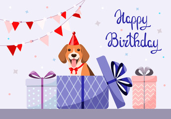Naklejka premium Greeting card with a beagle dog. Happy Birthday. Cartoon design. 