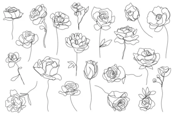 Papier Peint photo autocollant Une ligne Ensemble vectoriel de fleurs à ligne continue dessinées à la main - roses, pivoines. Éléments floraux d& 39 art. À utiliser pour les imprimés de t-shirts, les logos, les cosmétiques et les éléments de conception de beauté.