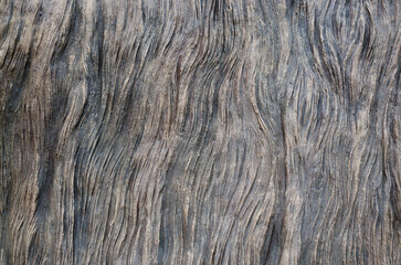 Texture under the bark of a tree background
