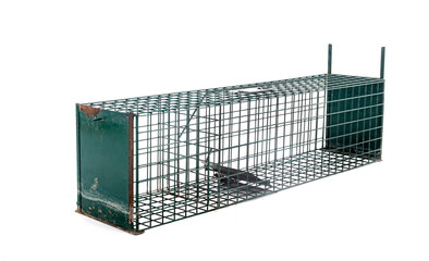 trap cage in studio