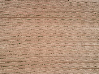 Aerial view seedlings growing in brown dirt crop, Baden-Wuerttemberg, Germany
