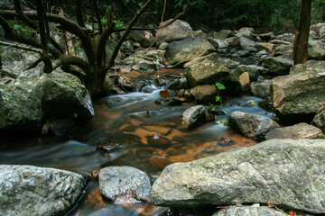Stream in the tropical forest