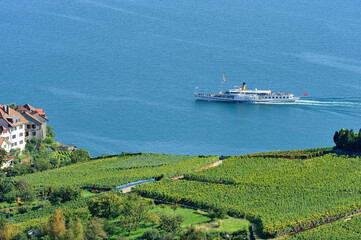 Vevey steamboat passing Rivaz, Lavaux vineyards on terraces - UNESCO world heritage, Lake Geneva...