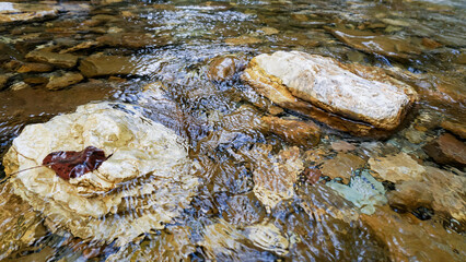 Flowing calm stream over stones. The fallen leaf lies on the stone.