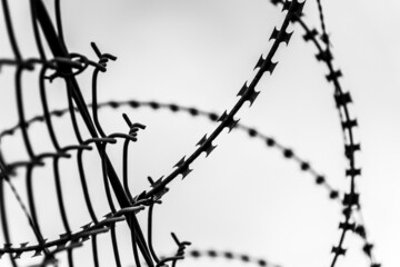 Barbed wire fence