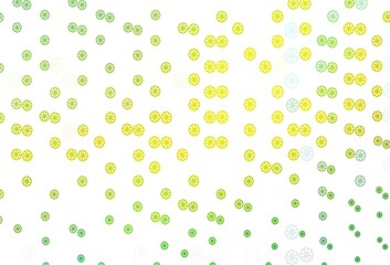 Light Green, Yellow vector background with xmas snowflakes.