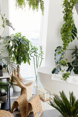 White bathroom with plants boho details