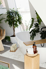 White bathroom with plants boho details