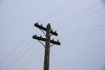 An electric pole with emergency wires on the background of a cloudy sky.