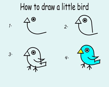 Step by step to draw a Bird. Drawing tutorial a Bird. Drawing lesson for children. Vector illustration