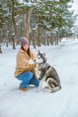 A young cute girl has fun in the snowy weather in winter in the park with a husky breed dog. Life style. People and dogs 