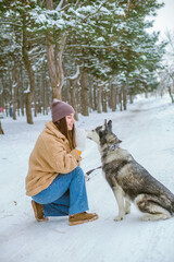 A young cute girl has fun in the snowy weather in winter in the park with a husky breed dog. Life style. People and dogs 