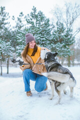 A young cute girl has fun in the snowy weather in winter in the park with a husky breed dog. Life style. People and dogs 