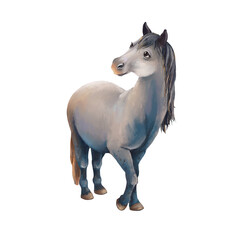 Fototapeta na wymiar A beautiful gray horse with a blue mane. illustration isolated on white background