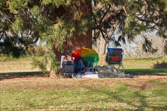 Sleeping camp from a homeless person. Possession of a poor man in front of a redwood tree. Poverty in Germany.