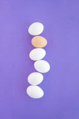 White eggs with brown egg purple background, flat aly