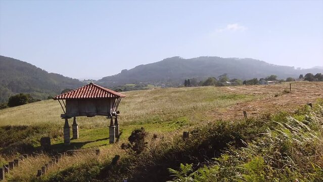 Horreo or elevated stone structure for storing cereals located in a meadow on a farm.