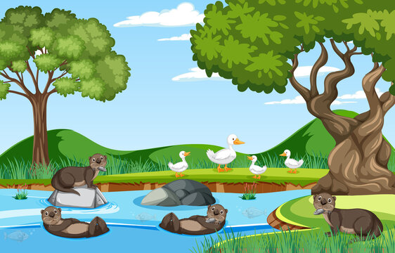 River in the forest with otters and ducks