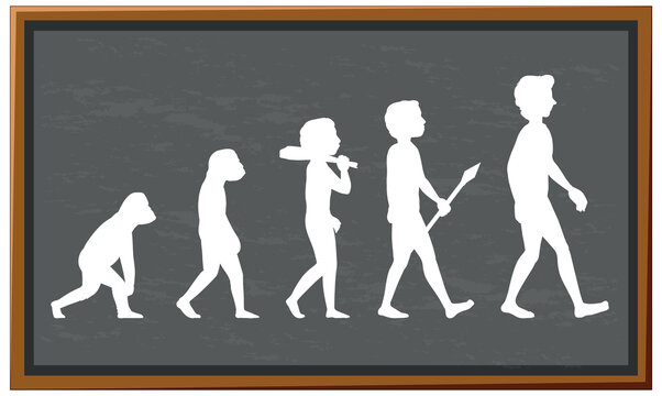 Stages of human evolution cartoon character