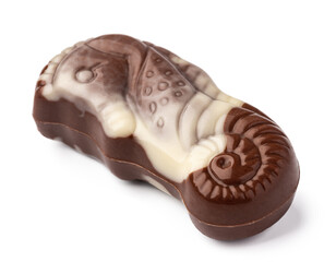 Chocolate sweets shaped as seashells isolated on white background