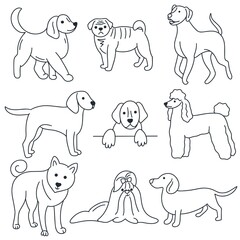 Dogs doodle set. Pets hand drawn collection. Outline drawing animals isolated vector illustration