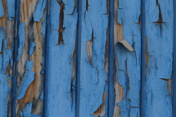 Azul desgastado
Puerta de madera con pintura de hace años
Detalle plano frontal, 55mm