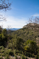 Obraz premium Paysage autour du Château d’Allègre sur le flanc du Mont Bouquet (Occitanie, France)