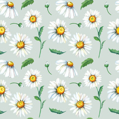 Chamomile watercolor seamless pattern. White summer flowers on gray background