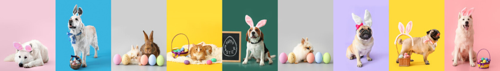 Set with cute animals on color background. Easter celebration
