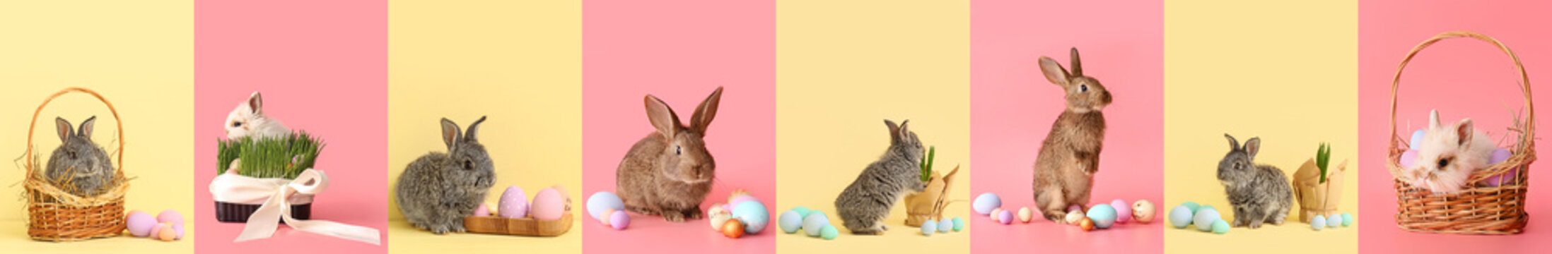Set with cute bunnies and Easter eggs on color background