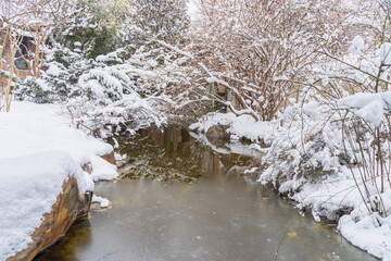 snowy river in winter
