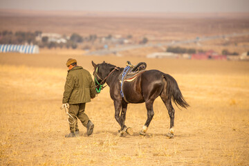 Horses are large. Harnessed and saddled, the horses are tied to a stall in a green meadow....