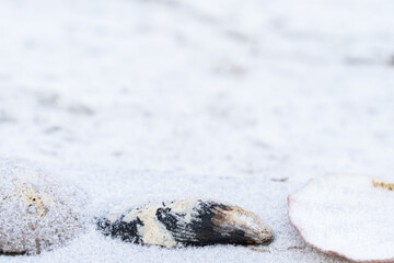snow on the beach