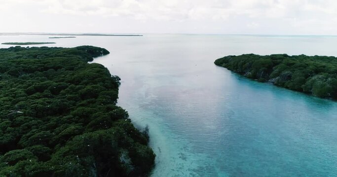 Aerial view of tropical islands with forests, mangroves and birds flying in the middle of the Caribbean sea in Boca de Bobos  Los Roques. P
an right