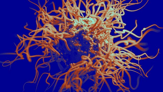 3D Virus Animation - Loop