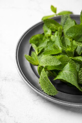 Plate with mint leaves on light background
