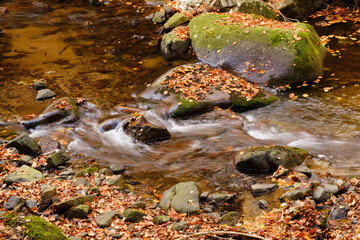 Fluss Ecker im Eckertal, Nationalpark Harz, Harz, Niedersachsen, Deutschland, Europa