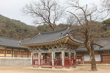 Fototapeta premium 가야산 절