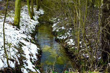 stream among the trees in the forest, early spring, melting snow