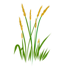 Field grass wheatgrass as a design element.