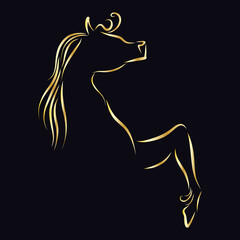 playful horse gold stallion with a wavy mane gallops raises a hoof